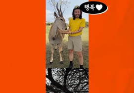 Но Хон Чхоль напрямую связался с пользователями сети из "подозреваемых в жестоком обращении с животными"«Я люблю животных» [человек.]