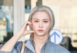 Stray Kids Феликс "Сердце статуи" [★Фото]