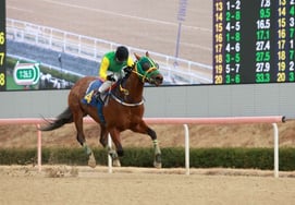 クラッチウィナー、慶南新聞杯優勝