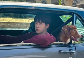 在东京巨蛋响彻云霄的'Running Wild'..防弹少年团Jin，这次在WBC证明了最高人气