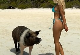 "NFL的男朋友也失去了理性。"' 著名吊环女郎，令人眩晕的"一步比基尼" 在海边和'猪'一起