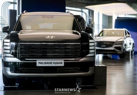 Palisade Hyundai Motor Company столкнулась со смертельным исходом младенцев в США "причиной является электрическое сиденье"