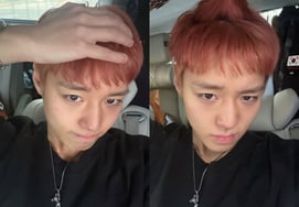 パク・ジフン、『単宗オッパ』のアイドルに変身..赤い髪の近況公開「嫌い」