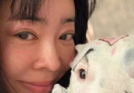 李慧英，虐待动物引发争议最终删除了"涂鸦视频" [Star Issue]