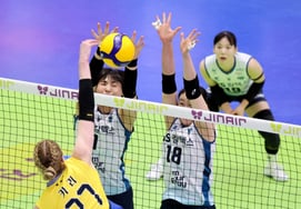 [相片儿] "拦住KARI！'