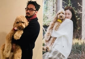 "Em có mẹ rồi."" Byun Yo Han không kết hôn ♥ TiffanyVợ chồng ôm nhau chứng nhận Bokja [Star Issue]