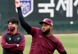 [Фото] Алькантара 'Catchbolo Momo'