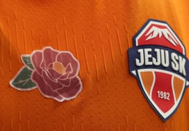 "4·3追悼"济州SK连续6年身穿山茶花补丁队服，"对地区社会的痛苦感同身受"