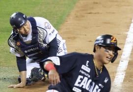 [フォト] 鷲 非常事態に頭を垂れた頭熊