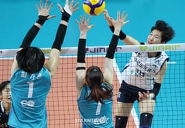 [Photo] Kim Se-in's "Little Bird of tenacity"