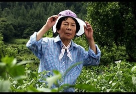 已故金镇求，拍摄电视剧后健康出现异常→回家途中死亡"生前脑出血手术"...今天（6日）10周年