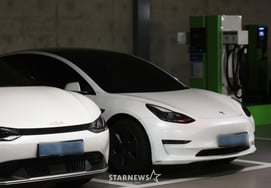 Трудно избежать критики реформы субсидирования электромобилей, "дружественных отечественных автомобилей - исключительных для импортных".