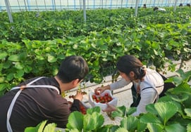 Daily Dairy, Sangha Farm 'Baby Moon' Event