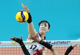 「最大の魚、チョン・ホヨンを捕まえろ」女子バレーボールFA20名が公示··· 熱い「場外戦争」が開かれる