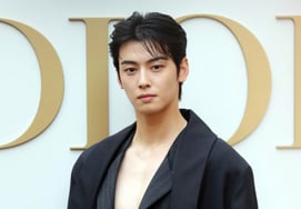 Cha Eun Woo bị phạt 20 tỷ won tiền trốn thuế"Tất cả trách nhiệm thuộc về tôi, không phải là gia đình hay công ty" [전문]