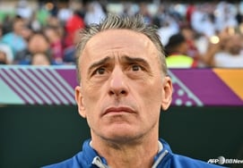 Как и ожидалось, "Бенберги" пробился с коэффициентом конкуренции 600 к 1." Бенто назначил главного тренера Ганы "тяжело" ... Может, на чемпионате мира 'встретимся'?