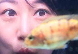 'Do Kyung Wan ♥' Чан Юн Чжон, предупреждение о подделке .."На стороне DM, осторожно"