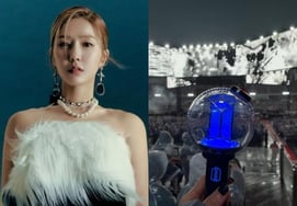 'Дом Нью-Йорка' Пинкл Ли Джин, приехавшая в Корею, чтобы увидеть BTS.Снимок с фотографией для просмотра концерта