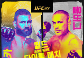 "重量级挑战"费雷拉UFC冠军头衔返还→冠军空缺的主人公是... bigbang排名第二，vs排名第三。