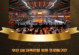 「成功的な拠点移転」OK貯蓄銀行バレーボールチーム、Vリーグ表彰式で功労賞受賞