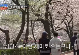 '53-Year-Old Never-Dated' Shim Kwon-ho Awakens Romance After Liver Cancer Surgery... First Cherry Blossom Date [Joseon's Love Expert]