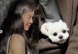 "Это не маркетинг"Ли Сон Бин, '♥Ли Кван Су' обнял собаку, с которой ходил на свидание, и кликнул [человек.]