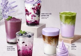 ポール・バセット、今春は『ラベンダー』で行く