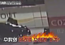 '1 Million YouTuber' Rooster 'Attempted Murder' Shock Testimony.. Kim Dong-hyun: "He Intended to Kill.." [Hidden Eye]