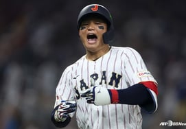 "哎哟！' →日本也出现WBC后遗症:包括NPB本垒打榜首在内，已有4人退出国家队