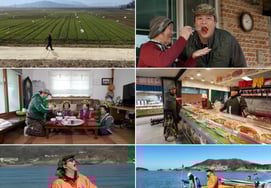 'Lee Jang-woo's Countryside Village 3', ♥Cho Hye-won's Supportive Firepower: "The Air Changed... The Charm of a 'Teto-nu'"