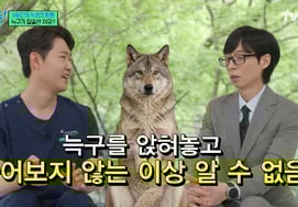 'Wolgu' Captured by Veterinarian, Furious Over AI-Generated Fake Photos: "240 Personnel Wasted" [You Quiz]