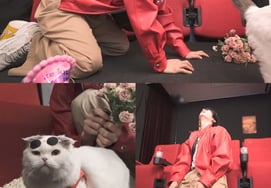 安宰贤，生平第一次全家福拍摄眼角湿润的理由 [罗洪山]