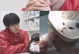 安宰贤，♥听到下酒菜的哭声坐立不安...充满深情的眼神 [罗洪山]