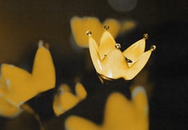BIGBANG Returns, Official Fan Club Recruitment After 11 Years [Official]