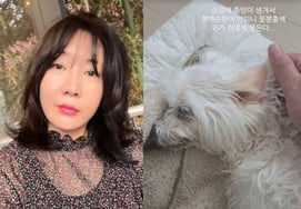 姉の訃報が続く..ホ・アンナ「心臓に腫瘍ができました」「ムクムク告白」 [スター・イシュー]