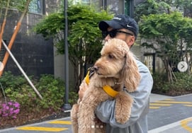 『ティファニー♥』変ヨハン、百賞授賞式後に仲の良いデート