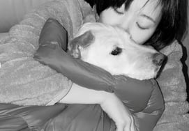 Kim Go-eun, who adopted a stray dog with a terminal illness... says final goodbye: "Don't be sick there"