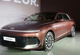 'Breaking the 60th million won barrier': Hyundai Motor's New Grandeur records over 10,000 contracts on launch day