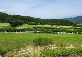 Korea Racing Authority Jangsu Ranch, MOU on Jobs for Persons with Disabilities in the Horse Industry