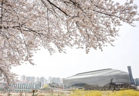 [Official] 'Shock' unprecedented abuse controversy → On-site commander speaks directly: "We intended to strengthen mental toughness and deliver a strong message..." Seoul Facilities Corporation's official statement revealed...