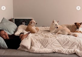 Daily life of Lee Hyori revealed by husband Lee Sang-soon..Peaceful happiness
