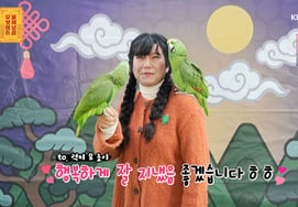 'Pregúntale a la Buda' cuenta del solicitante: "Quiero que los loros sean el BTS del mundo de las aves.. la lucha por el centro es feroz, estoy preocupado" [ByeolbyeolTV]