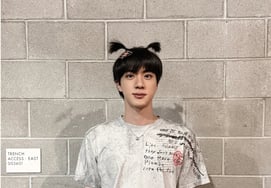 BTS Jin, Is He in His 30s? A Boyish Look with Twin Braids