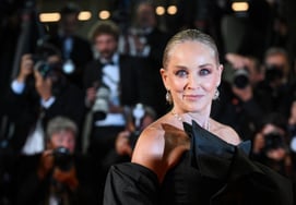 Sharon Stone's Bad Men: "Husband Who Rushed Out Over Mastectomy Decision; Doctor Who Expanded Breast Size Without Consent and Performed Surgery"