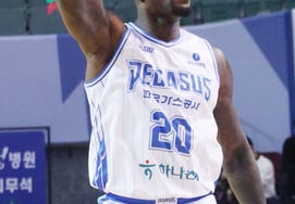 天然气公社就"罗健儿税金问题"申请停止KBL相对效力的假处分，"KCC行使影响力转嫁税金"