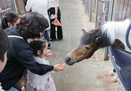 La Sociedad Coreana de Carreras de Caballos organiza evento de invitación a ciudadanos de Gwacheon en Let's Run Park Seúl