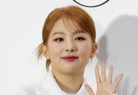 Red Velvet Sulli, ante la noticia del fallecimiento de su prima, Sukijin: "Suspensión de YouTube durante dos semanas" [Star Issue]