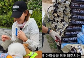 "I'll send expensive dog food.." Lee Mi-sook secretly donates to a stray dog shelter [Star Issue]