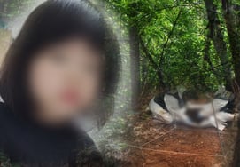 Tôi đã phá rừng 28 tháng tuổi, một bé gái.Bí ẩn giết người ở cửa hàng bán đồ đá ngầm Siheung [quả trứng]
