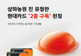 Công ty sữa Maeil, Thượng và Hạ viện, Jin, Yoo Jung Ran, ra mắt thẻ Hyundai 'Subscribe 2 tầng'